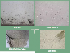 凯时|AG(AsiaGaming)优质运营商