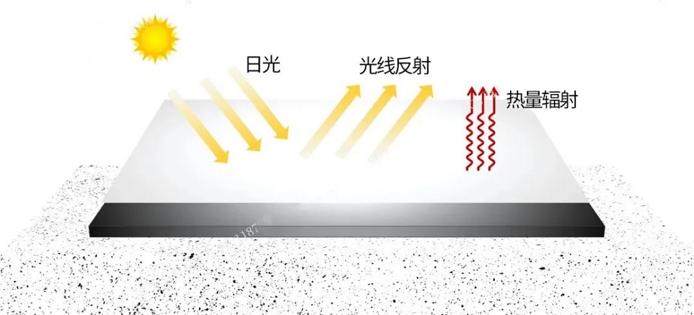 凯时|AG(AsiaGaming)优质运营商